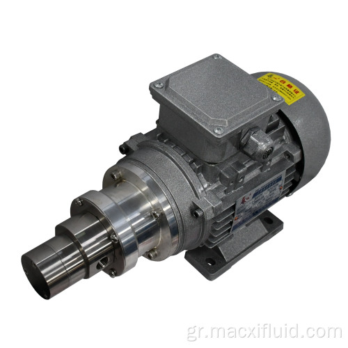 AC 220V Μαγνητική κίνηση Micro Gear Pump